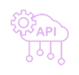API icon